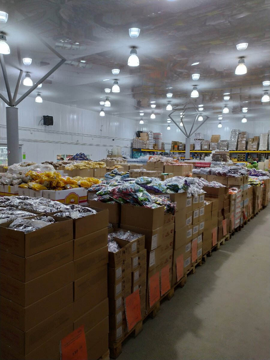 Фотография автора статьи