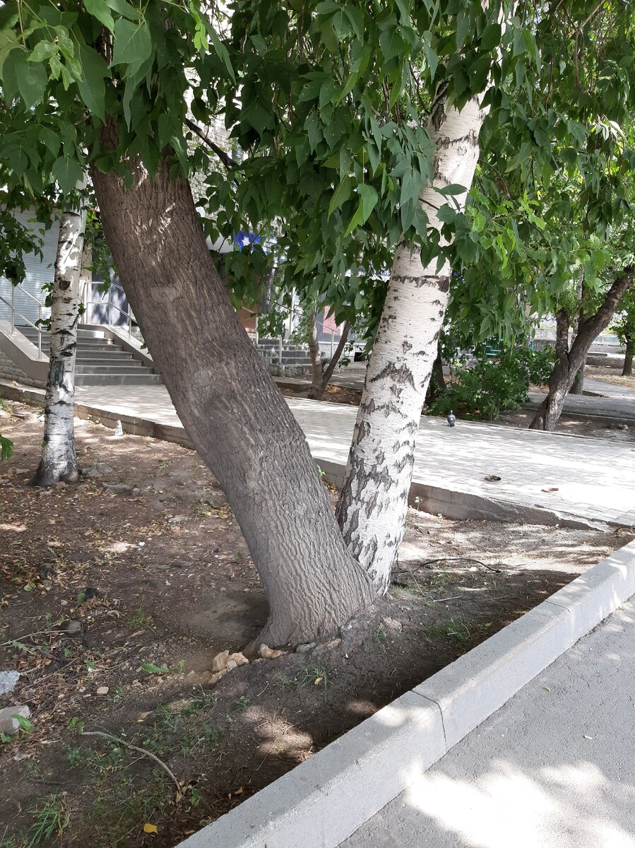 Личная фотография.