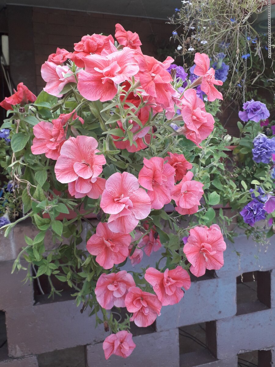 Фото из личного архива