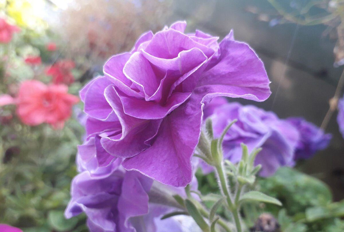 Фото из личного архива