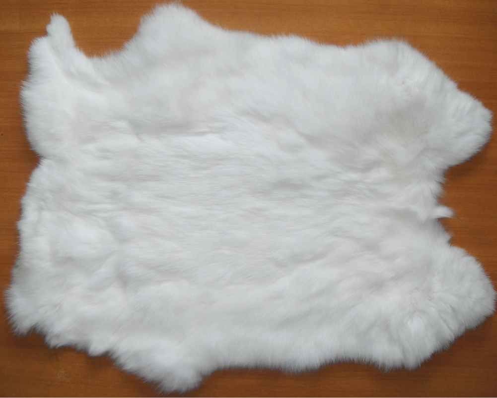 Шкурка кролика "Белый великан". Фотография из просторов интернета.