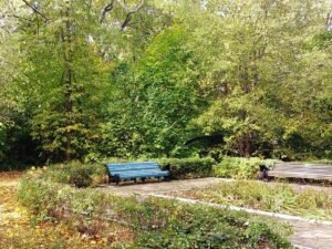 Природа лечит