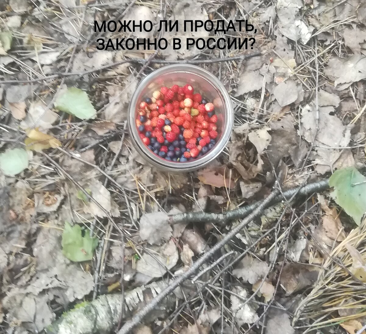 Можно ли продавать на улице? Законно ли это? И как это сделать?