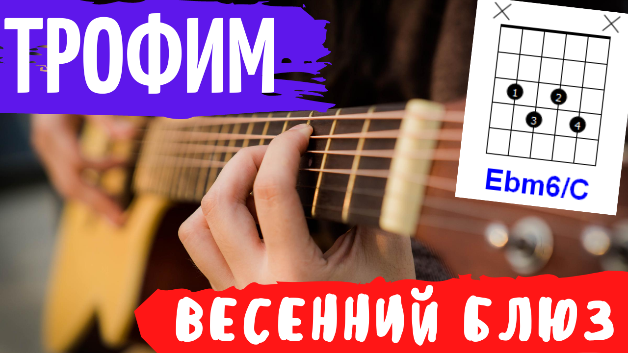 Трофим Весенний Блюз аккорды 🎸 кавер на гитаре как играть