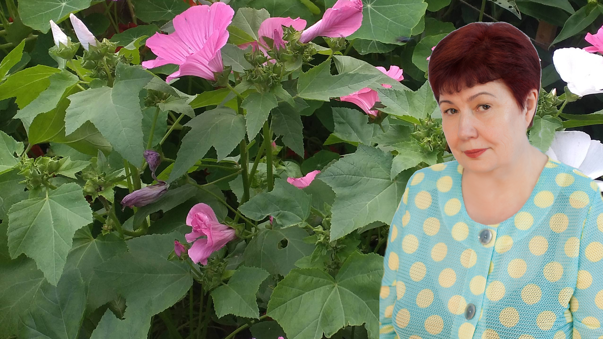 Ставьте лайк, подписывайтесь на канал