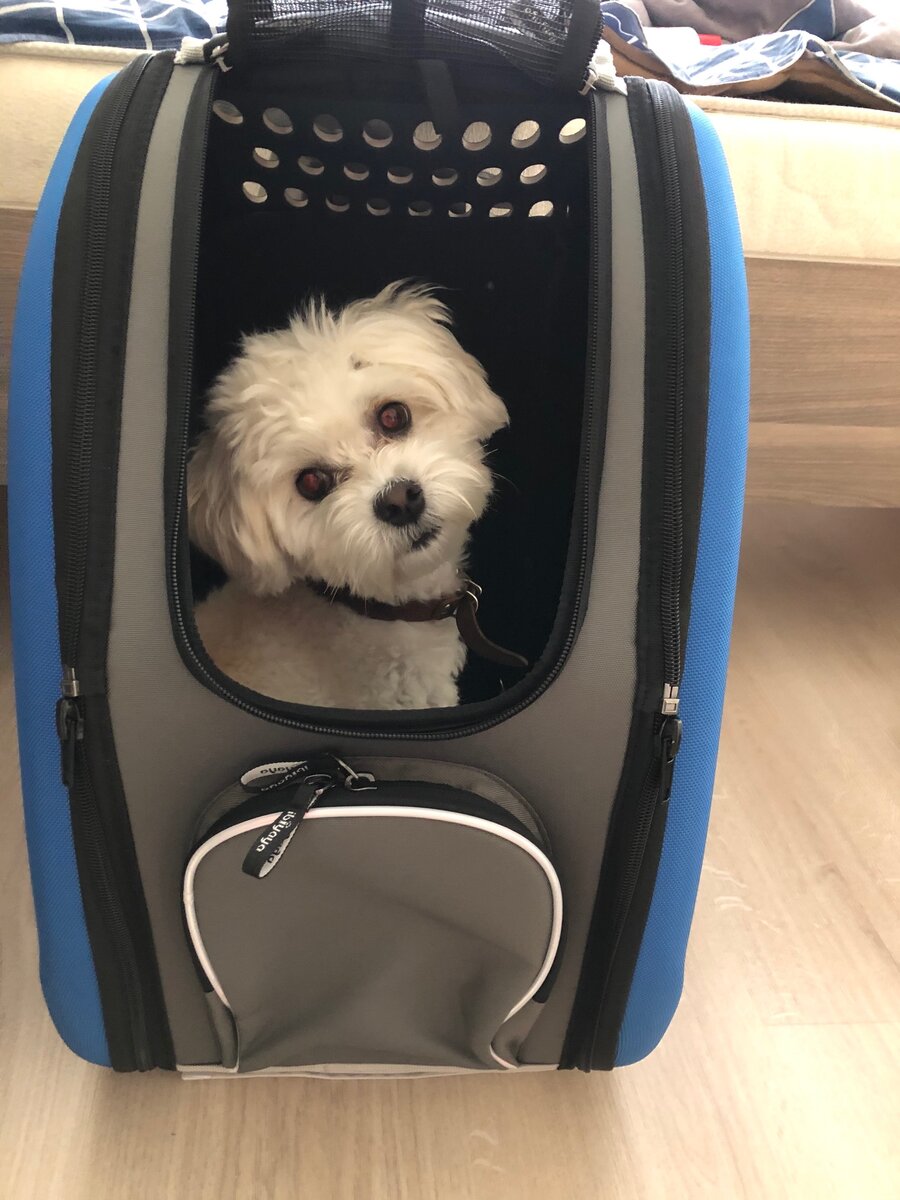 Тут вполне уютно. Мама, что дальше?