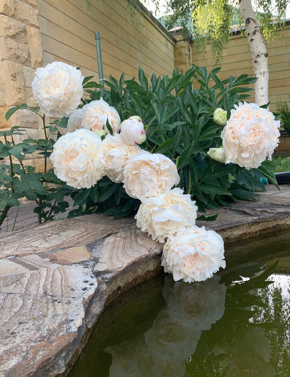 Фото: Марина Арапиди