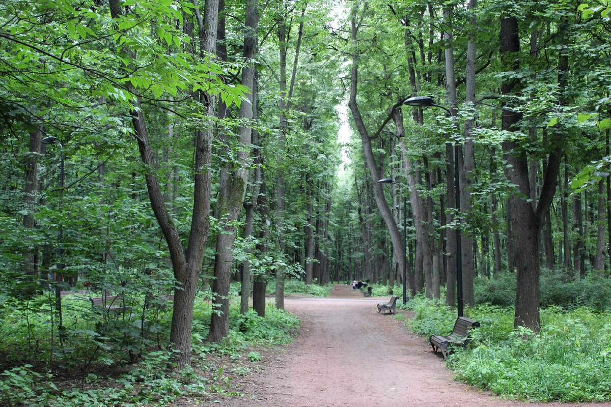 Фото автора.