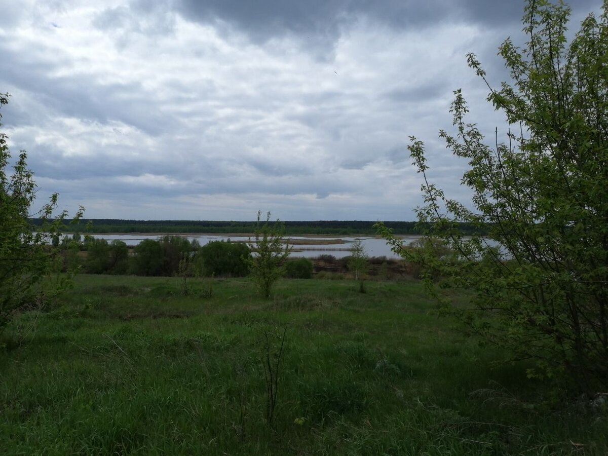 Озеро кожаны брянская область