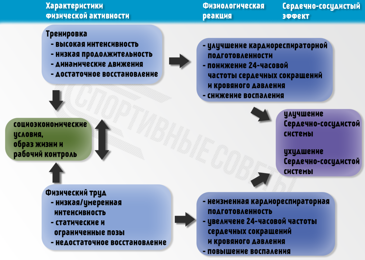 vk.com/sportivnye_sovety