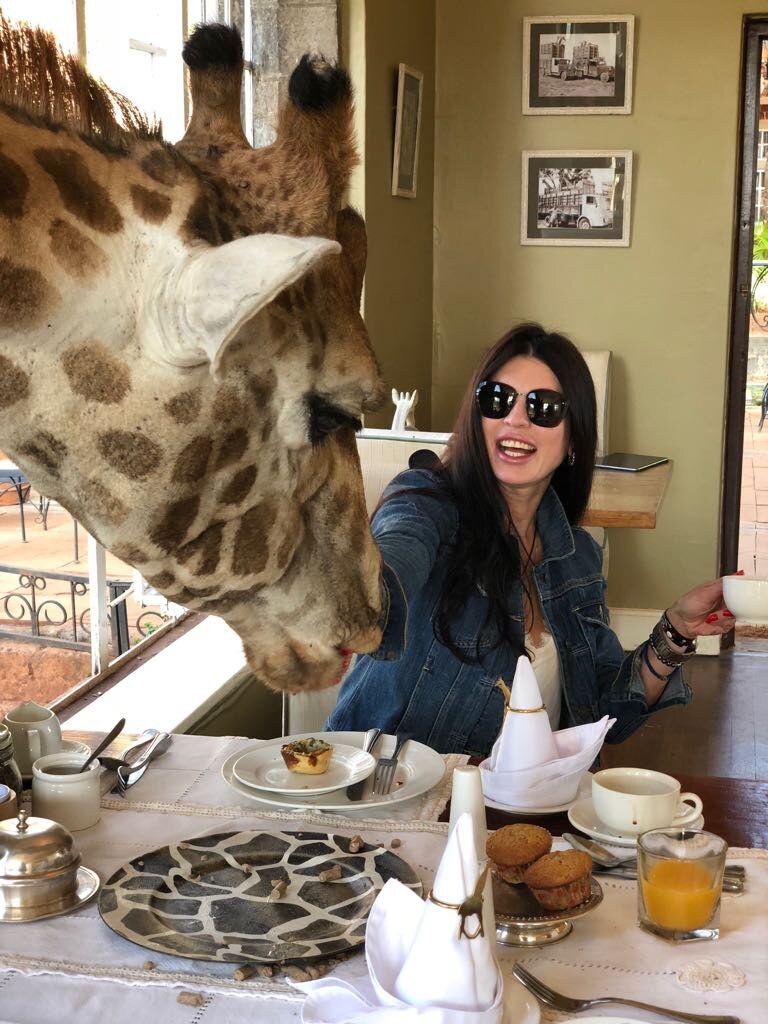 Восторг и счатье вам подарят жирафы за знаменитым завтраком в Giraffe Manor