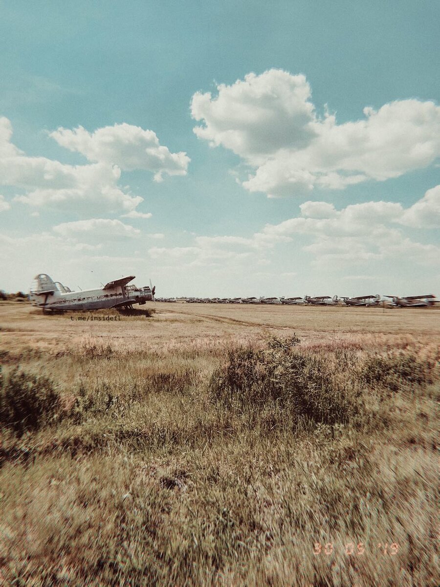Изжившие себя Ан-2 на заслуженном отдыхе. Сколько смогли насчитать?