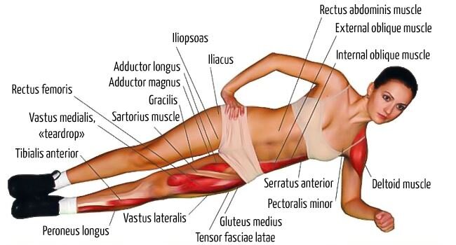 Классическая и боковая планка задействуют огромное количество мышц, которые не всегда получают нагрузку в других упражнениях.