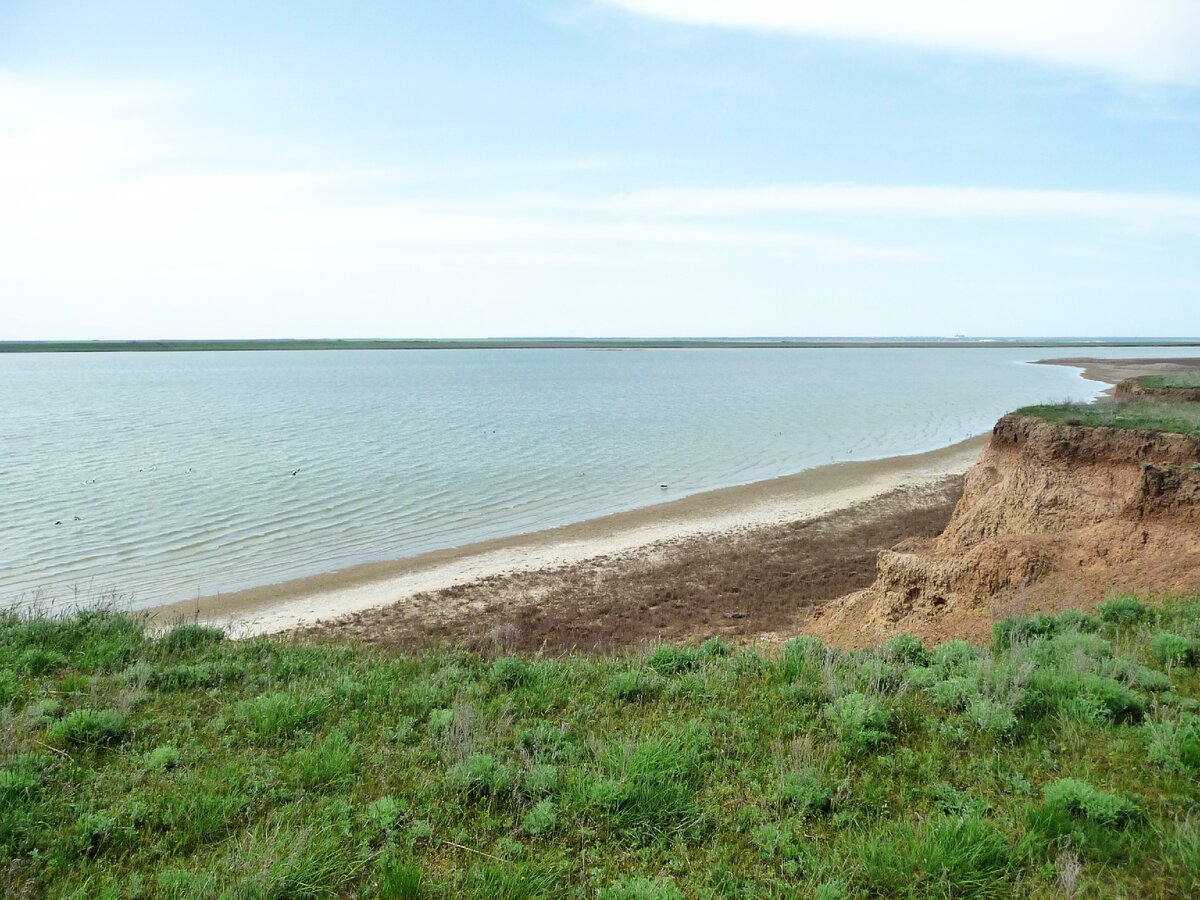  Восточный Маныч. Крутые берега. Фото автора.