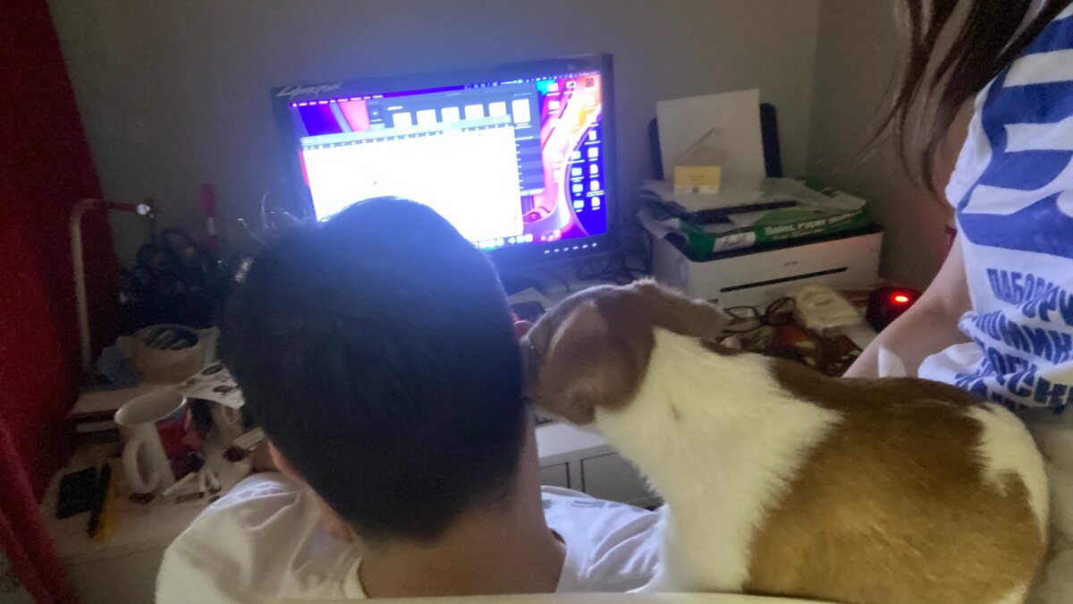 качество плохое, но (надеюсь) передает атмосферу