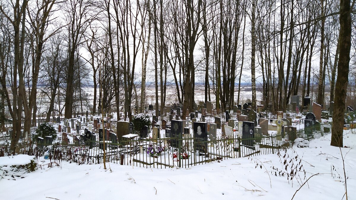 Кладбище пулковской обсерватории. Воинское кладбище пулковское. Пулковское кладбище. Пулковское дело 1936-1937. Кладбище пулковской обсерватории шушары.