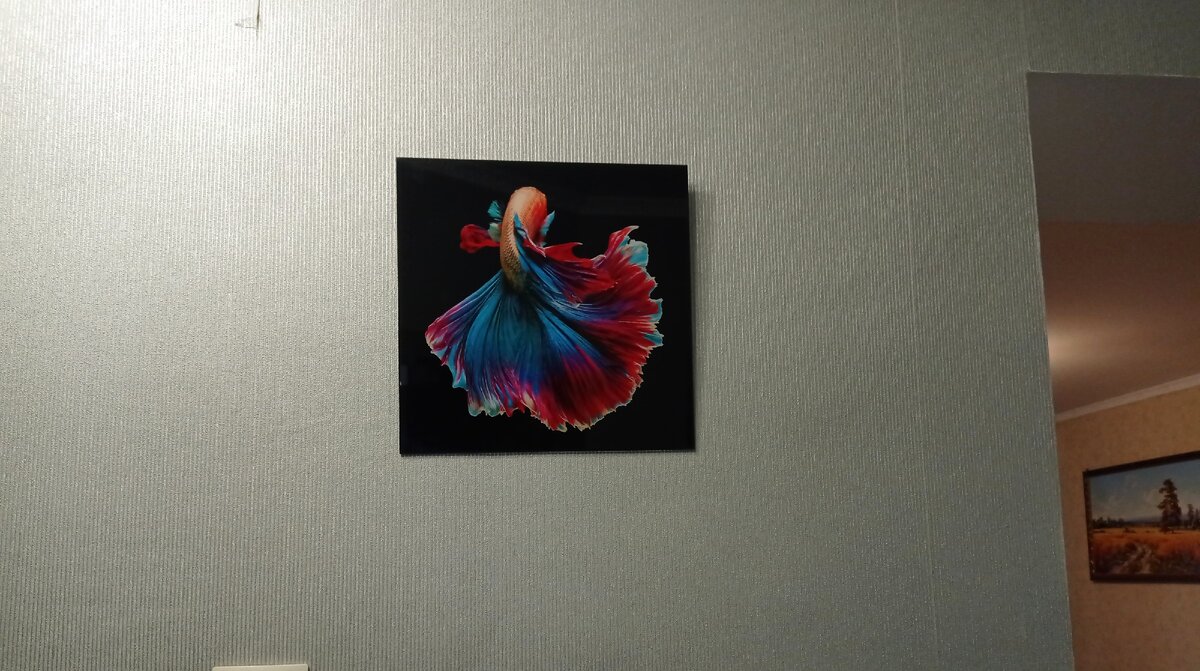 Фото автора 