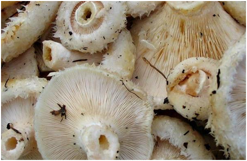 Ставьте лайки и подписывайтесь на мой канал