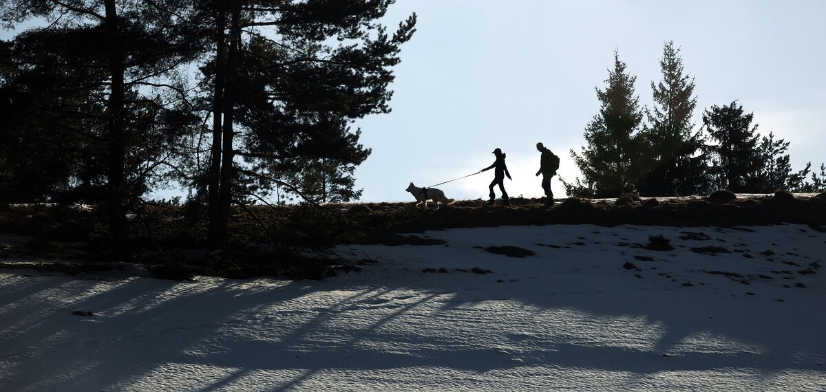 Фото: JerzyGorecki