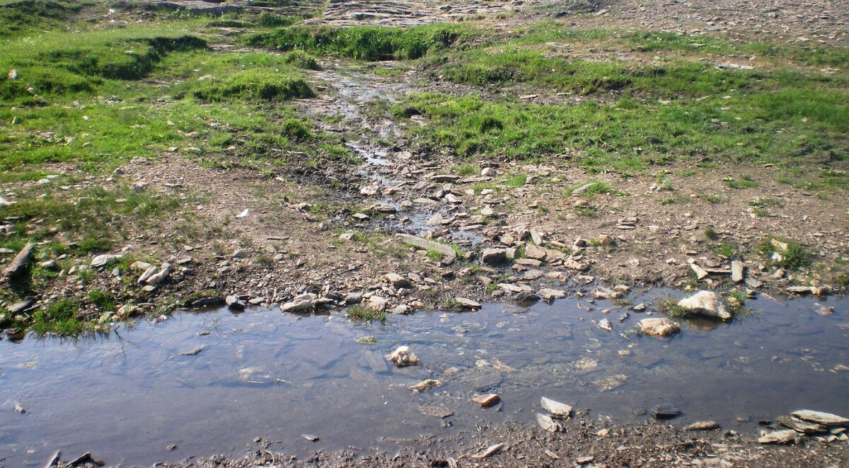 В этом ручье чуть-чуть  вода ещё есть.