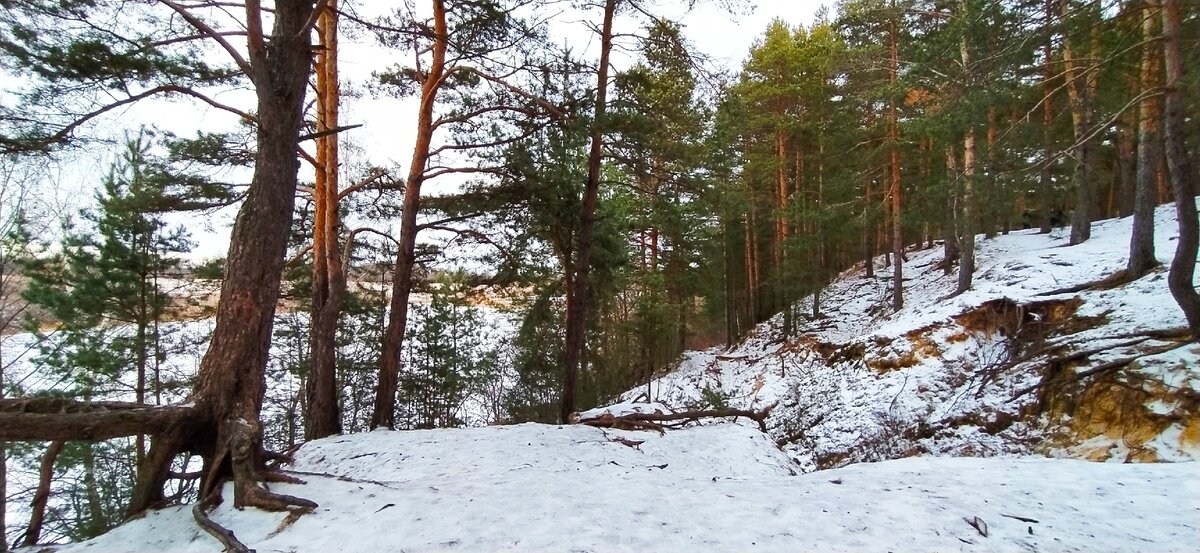Лысая гора солотча рязань фото