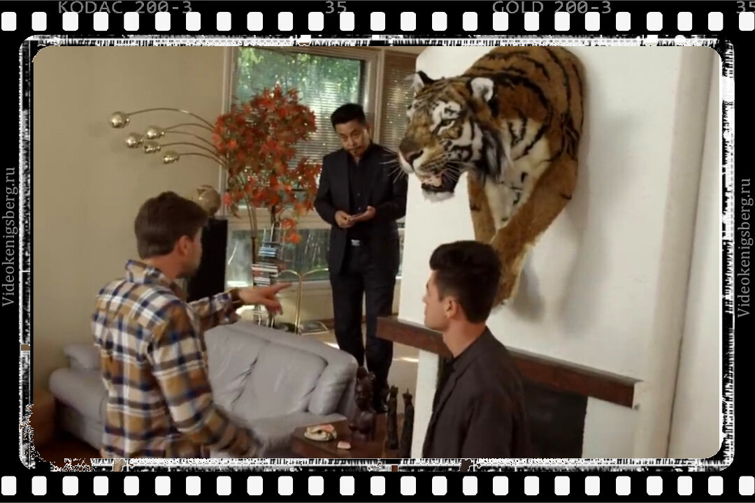 Браконьеры. Кадр из фильма "След тигра"