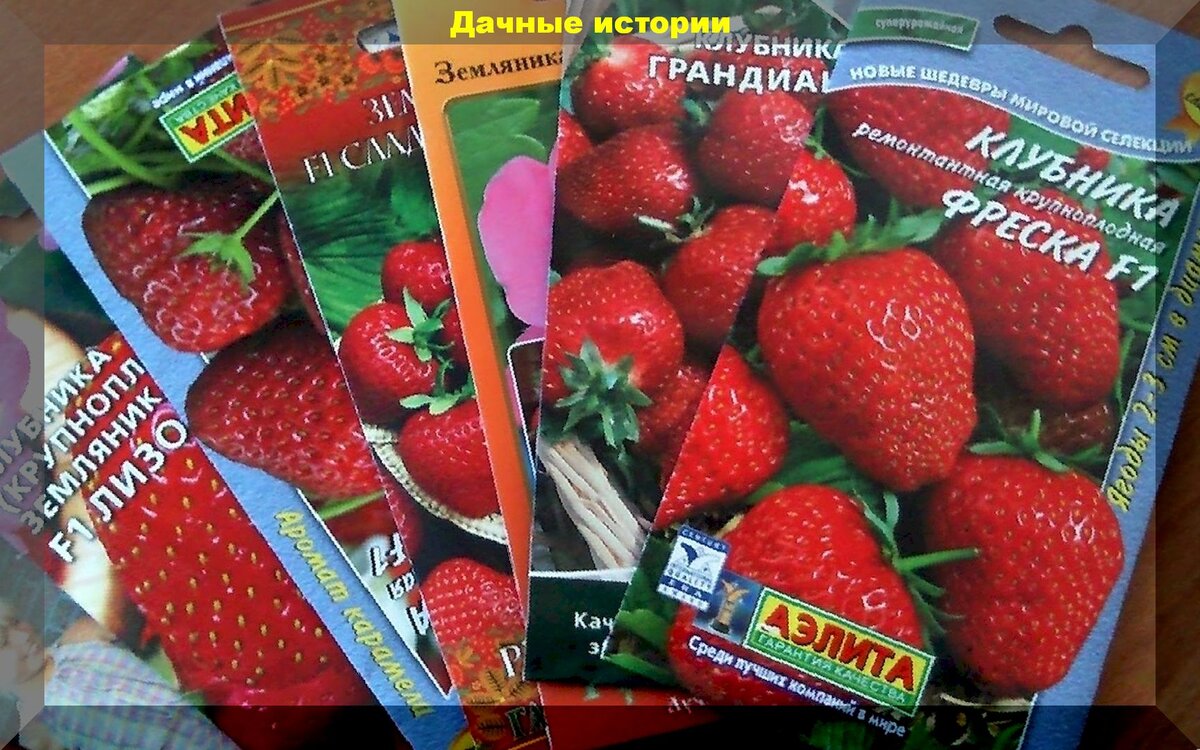 https://vk.com/photo-159774511_457245251