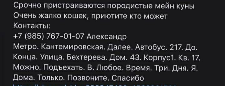 Вот такое объявление размещали во всех группах