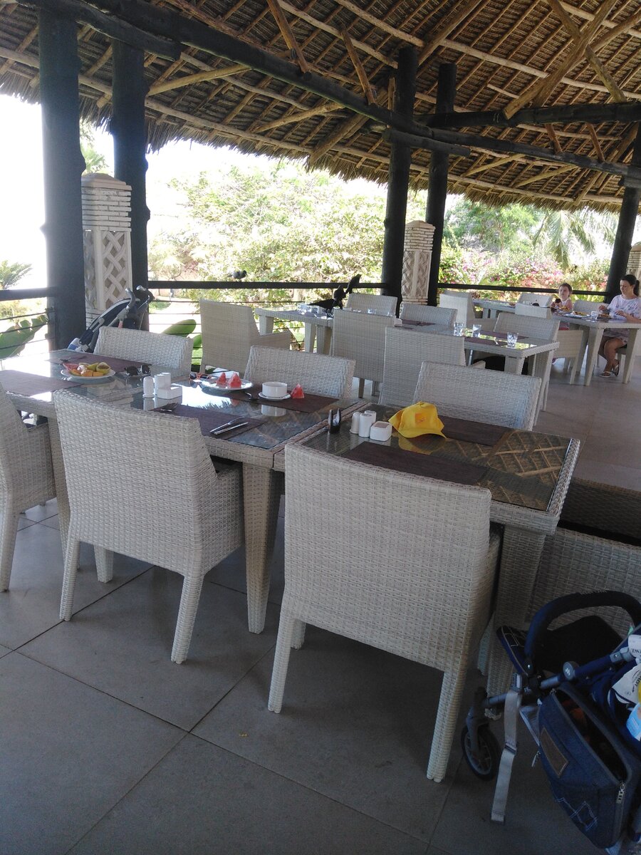 вороны едят наш завтрак