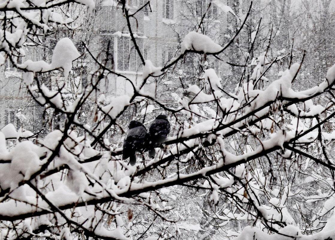 Фото — fotokto.ru