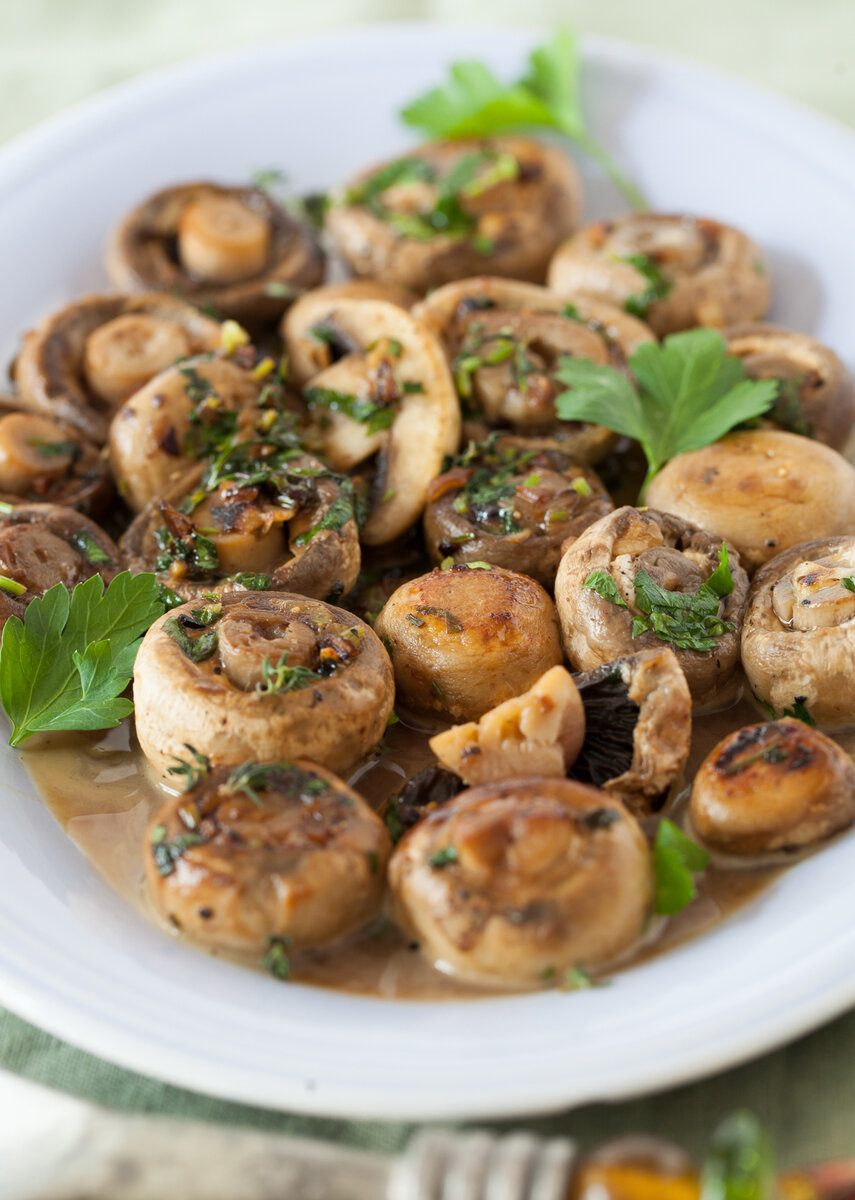Блюда из грибов шампиньонов рецепты с фото простые и вкусные пошаговые