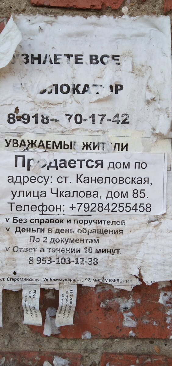 Увидела на стене объявление и сфотографировала.