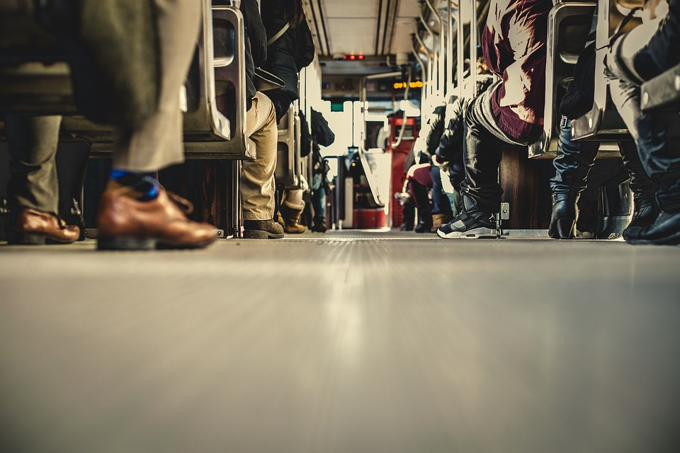 Изображение с сайта https://pixabay.com/