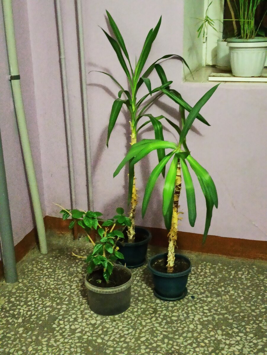 Разбираемся.