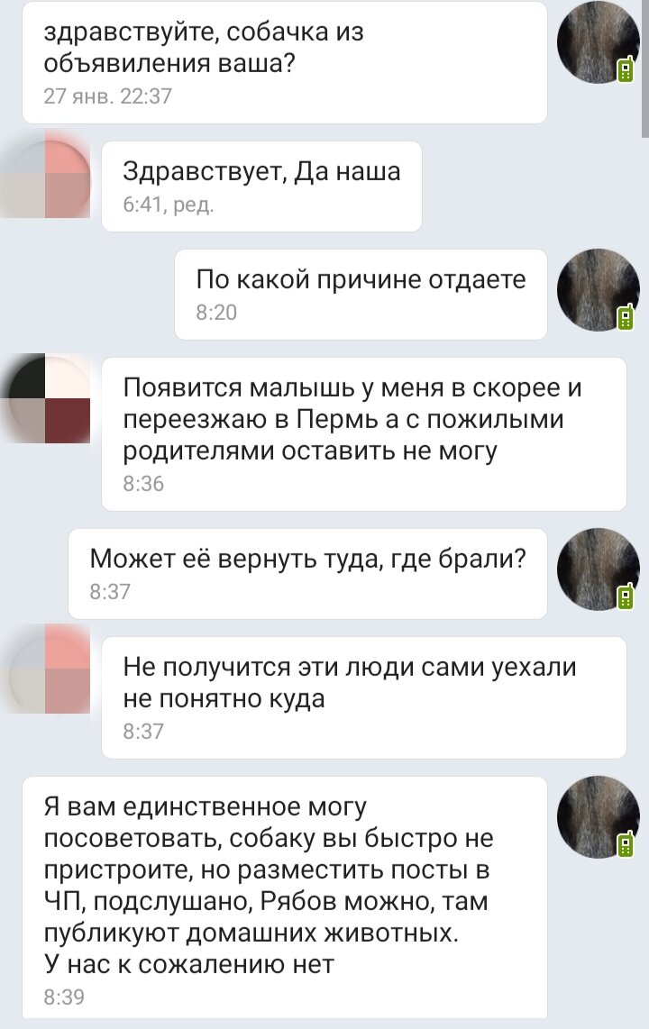 Личный скриншот. 