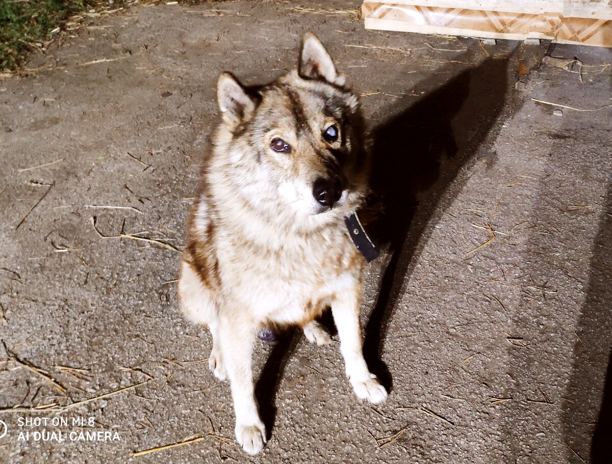 Привет, всем, ребята!