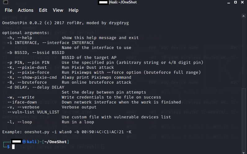 Справка и аргументы Oneshot