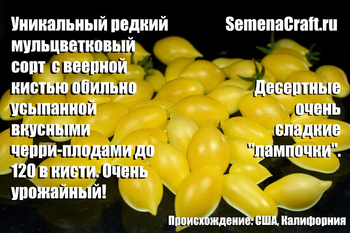 SemenaCraft.ru