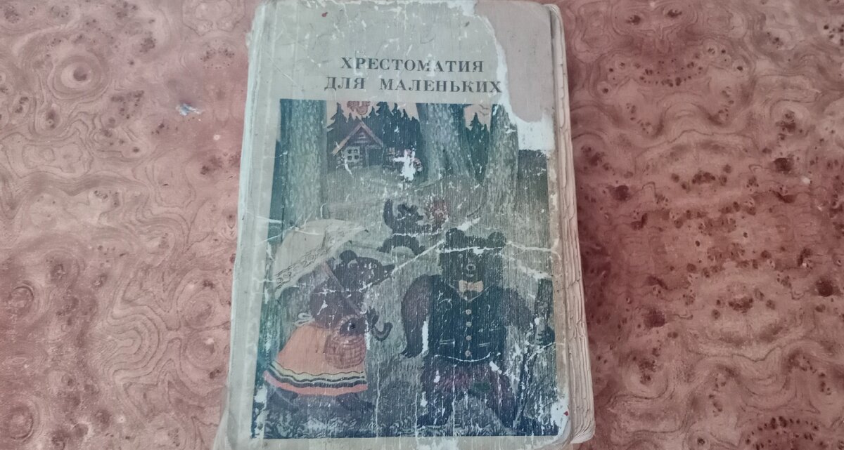 Та самая книжка, которую они листали. Она очень старая, нет той страницы где указан год издания.