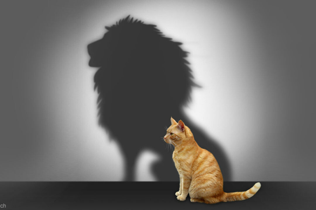 Никто не уважает людей, которые не уважают себя.