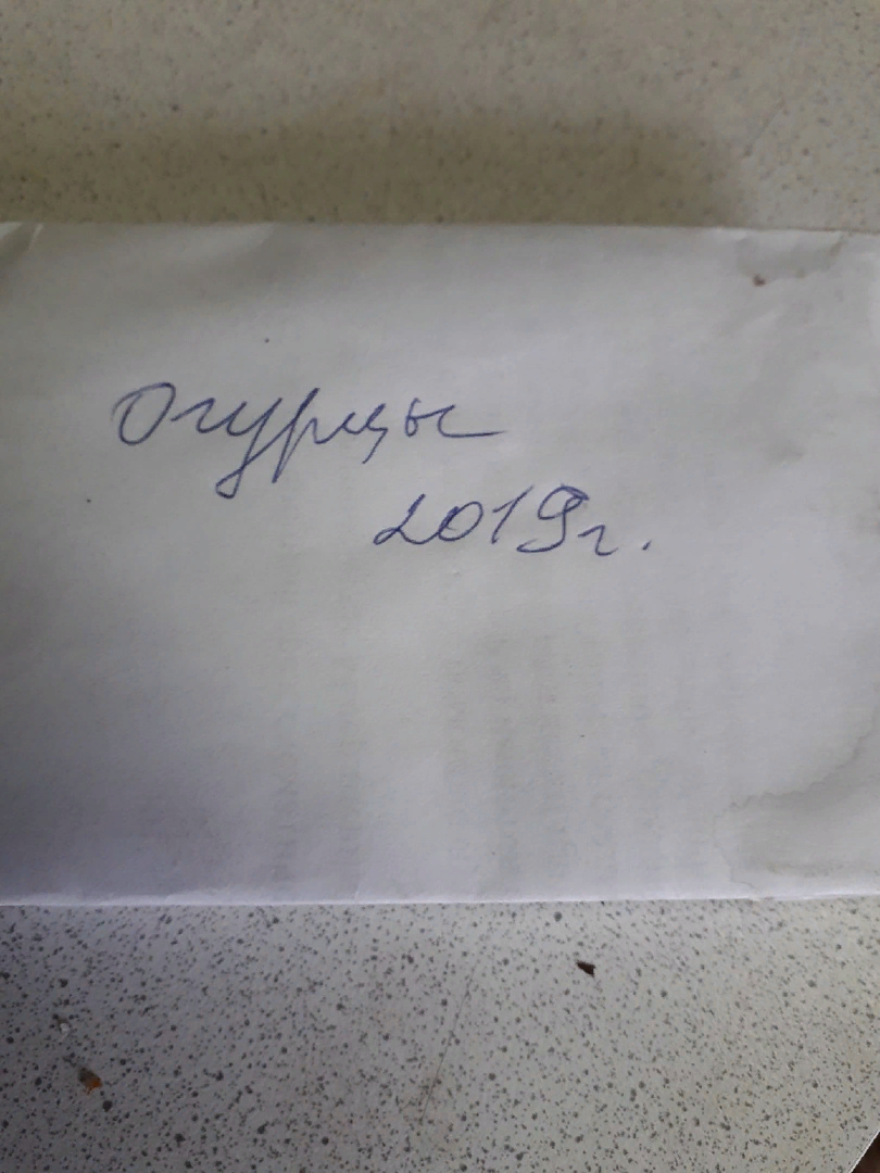 Зачем я покупаю семена огурцов с истекающим сроком годности1