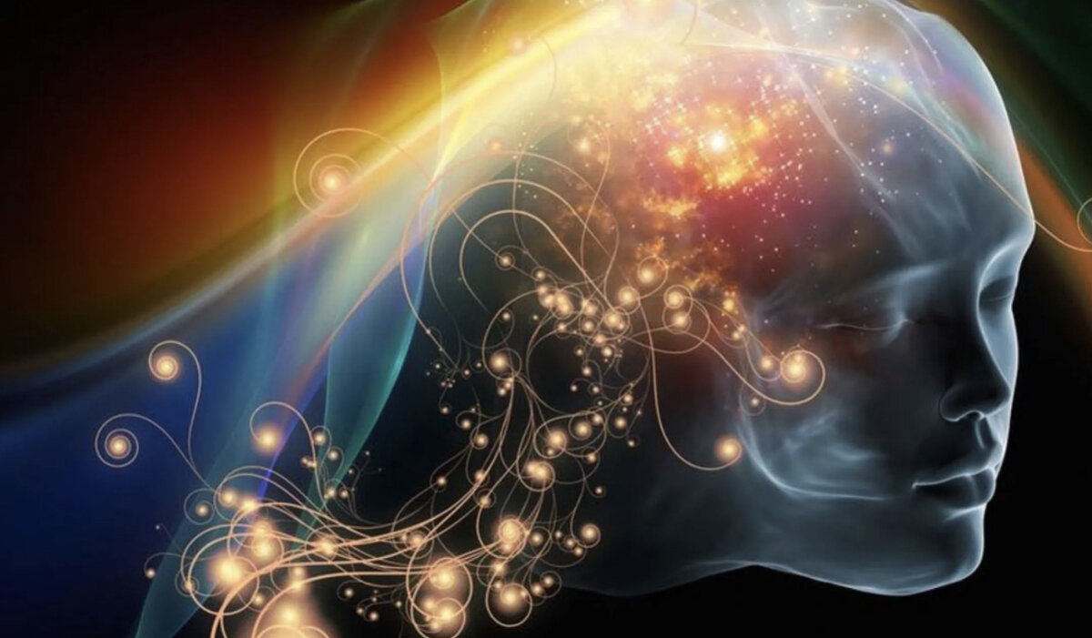 Мозг думает. Креативные мысли. Собственный ум. Ясность мысли. Роджер сперри.