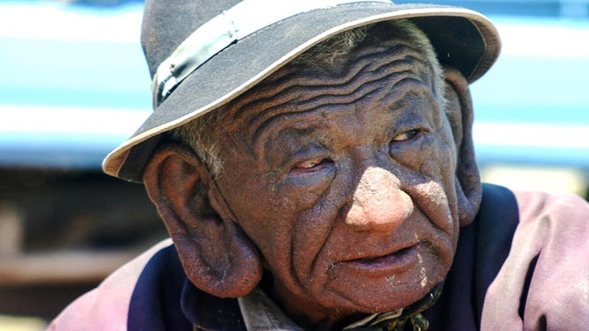 фото из открытых источников