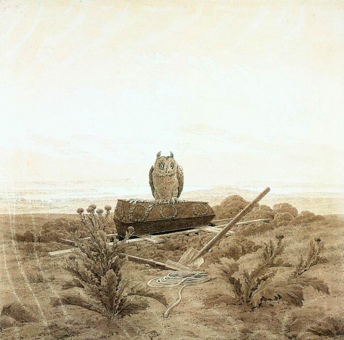 Услышать крик совы