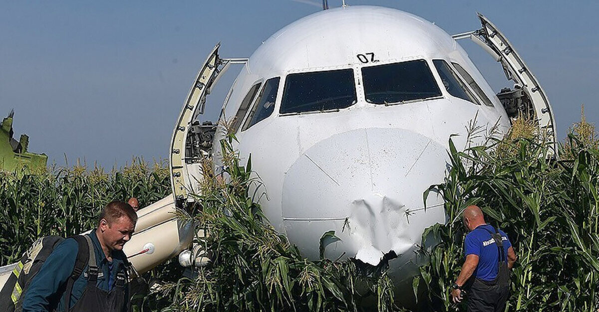 Фото из открытого источника "Самолет A321 авиакомпании «Уральские авиалинии»"