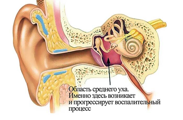 Фото из просторов интернета
