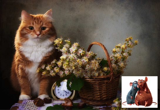 Коллаж от Кот с вами.