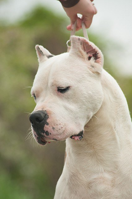 наш выпускник Бамбалби. в 2016 году на Чемпионате мира выйграл свой класс