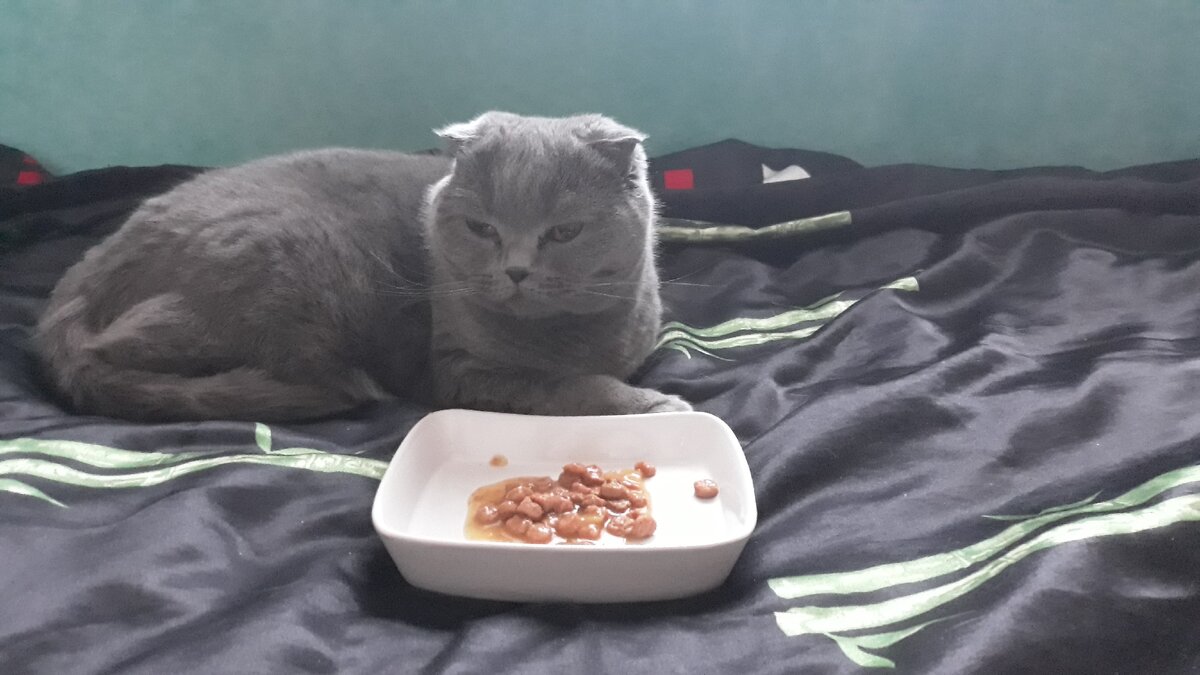 Плюша воротит нос