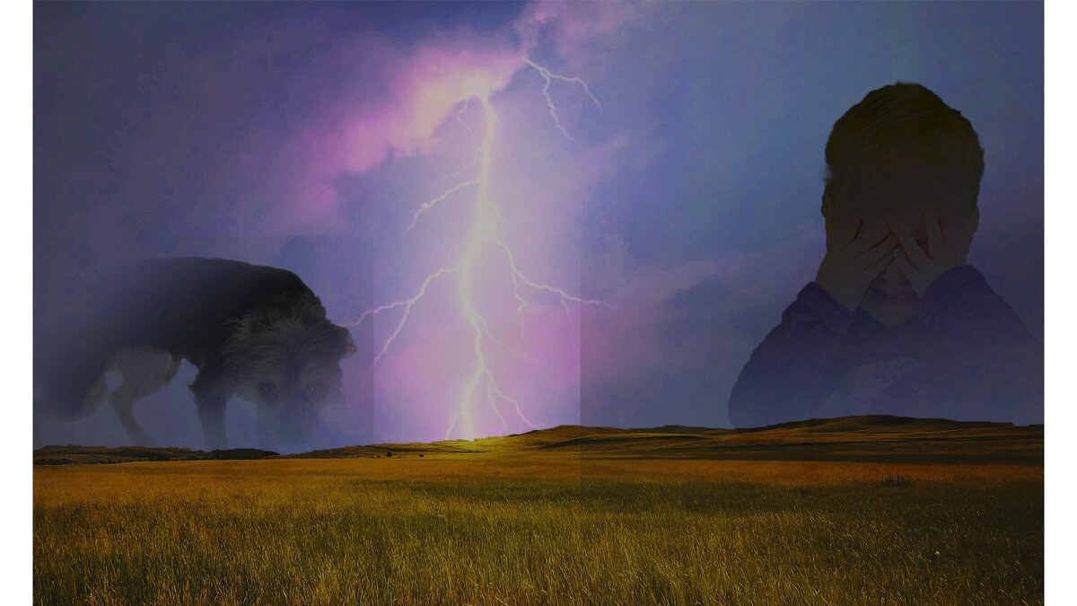 Интересно что случиться в конце? Я пока и сам не знаю ответ)